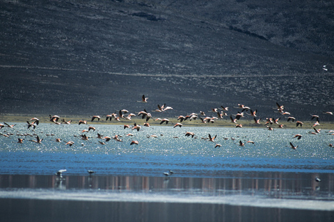 Peru: 21-day round trip to the highlights