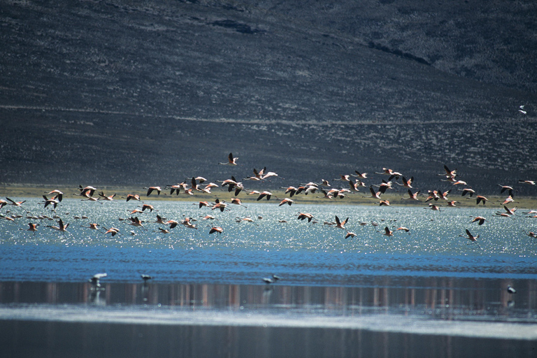 Peru: 21-day round trip to the highlights