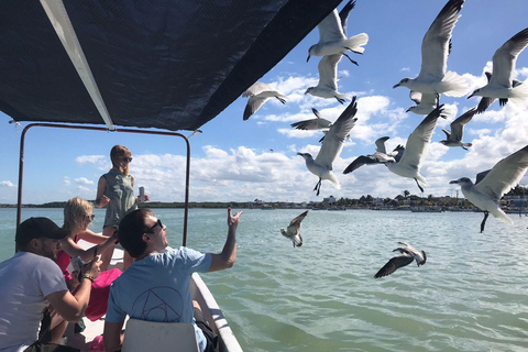 Passeio de flamingo Rio Lagartos, Yucatan 2 horas