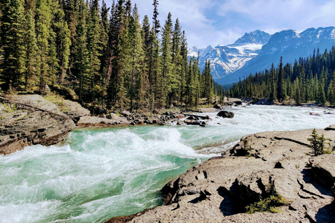 Banff/Canmore: Tour del lago Louise, del lago Moraine e del lago EmeraldPrelievo dal Centro Visitatori Travel Alberta Canmore