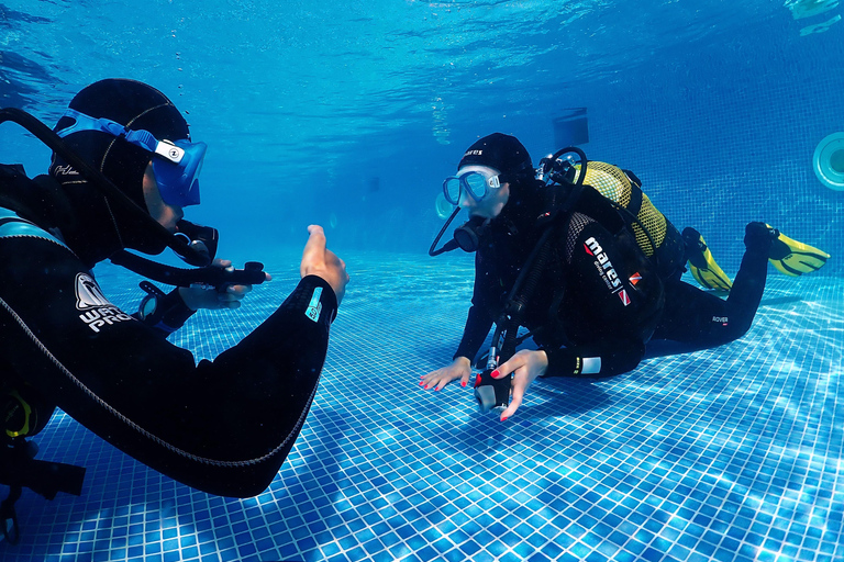 Madeira, Ponta São Lourenço: Buceo para principiantesSólo Opción Piscina - Ponta de São Lourenço