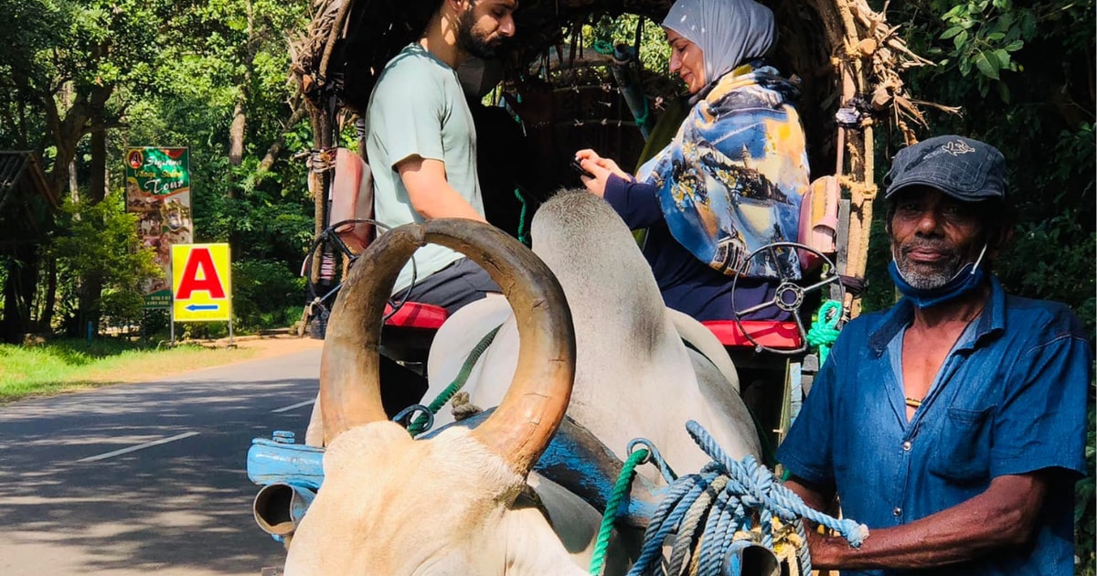 Sri Lanka: Traditional Village Tour Sigiriya($25 Per Person) | GetYourGuide