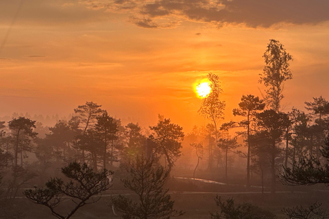 Sunrise Tour To Great Kemeri Bog