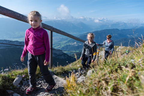 Desde Lucerna Tren autoguiado de ida y vuelta al Monte PilatusDesde Lucerna: viaje autoguiado de ida y vuelta en tren al monte Pilatus