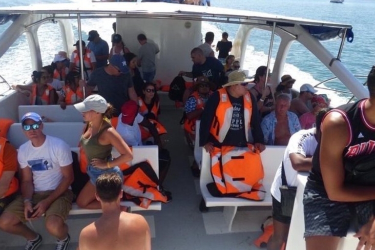 Au départ de Punta Cana : Visite de l'île de Samana et de la Cascada el Limon
