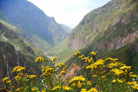 Exkursion: Colca Canyon mit Transfer nach Puno.