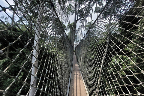 Accra: tour di 3 giorni a Kumasi, Cape Coast ed Elmina