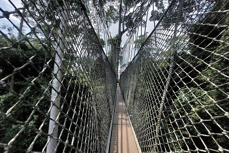 Accra: tour di 3 giorni a Kumasi, Cape Coast ed Elmina