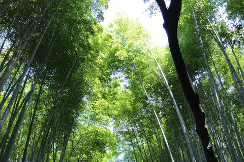 Kyoto: A Different Side of Arashiyama Guided Walking Tour