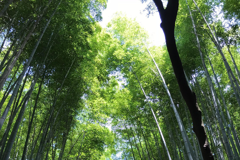 Kyoto: A Different Side of Arashiyama Guided Walking Tour