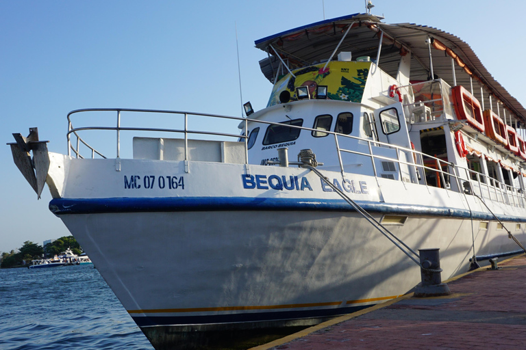 Carthagène : excursion en bateau de nuit avec dîner et open barCARTAGENA : Excursion en bateau de nuit blanche avec dîner et open bar
