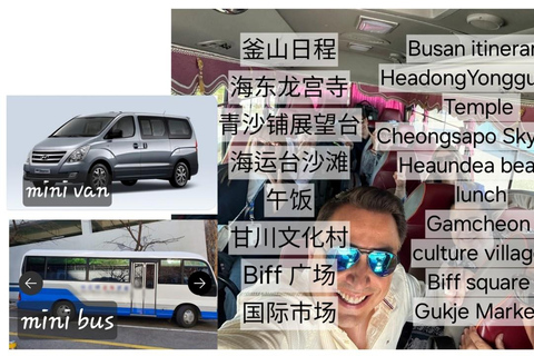 Busan: Kleingruppentour für Kreuzfahrtschiffpassagiere[kleine Gruppe] Englischsprachiger Reiseleiter