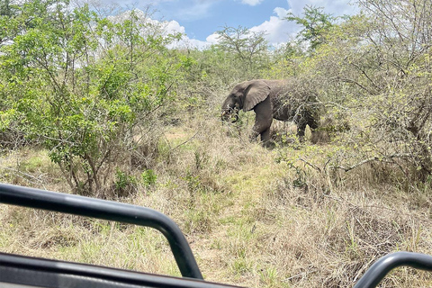 Ab Kigali: 1 Tag Akagera Safari &amp; Bootsfahrt. Alles inklusive