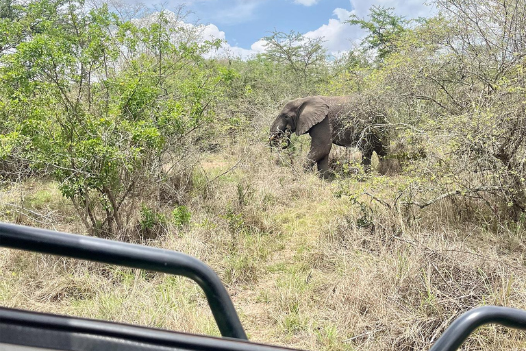 Vanuit Kigali: 1 dag Akagera safari en boottocht. Alles inclusief