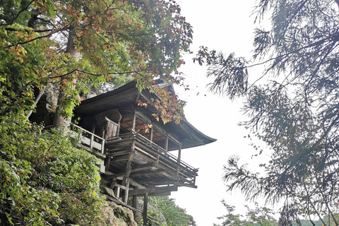 长野：隐秘神社徒步导览之旅（含小吃和饮品）