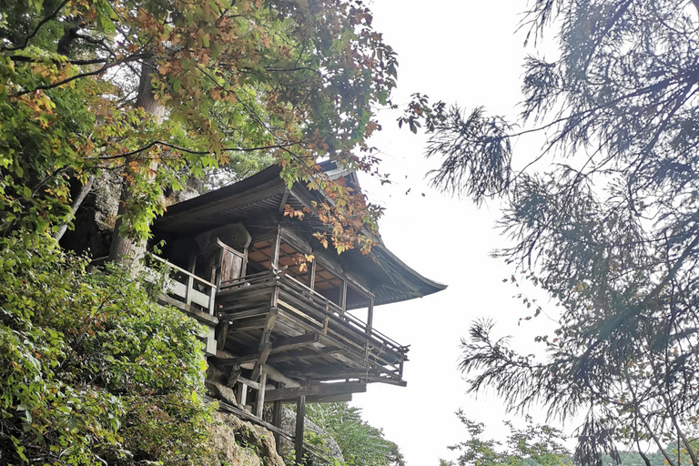 长野：隐秘神社徒步导览之旅（含小吃和饮品）