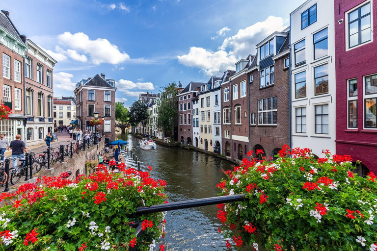 Amsterdam: Castle De Haar & Utrecht old town Private Tour