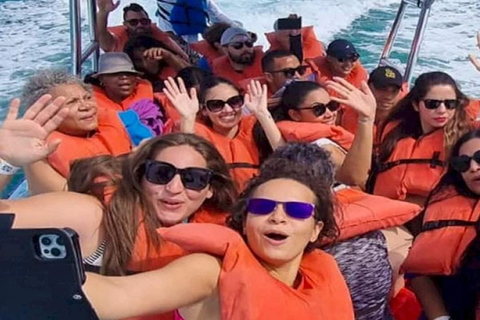 Punta Cana: Whale Watching, Cayo Levantado & Waterfall