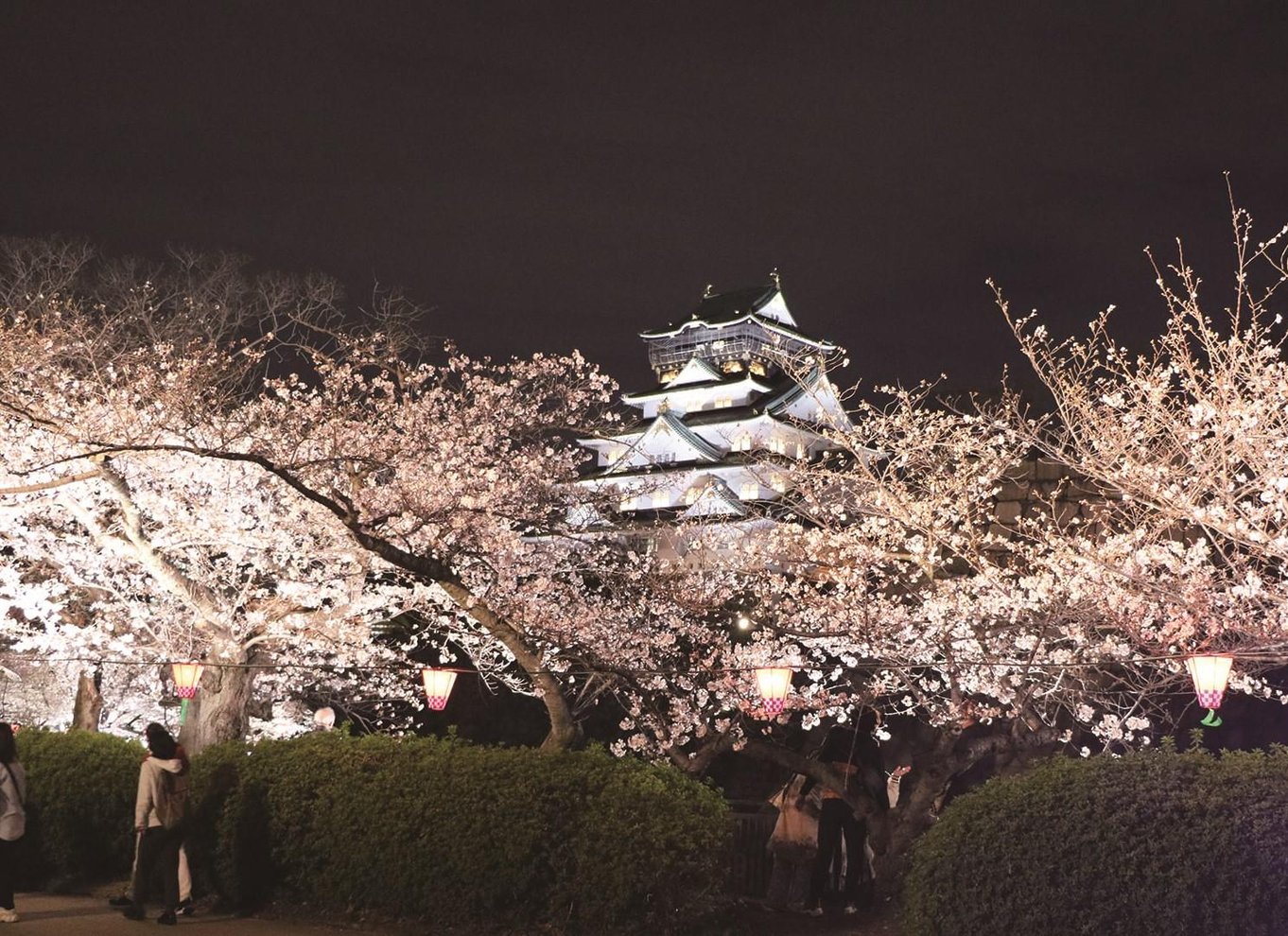 Osaka: Entré til slotstårnet / guidet byvandring