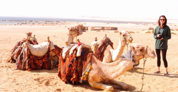 Von Kairo aus: Camping-Abenteuer mit Übernachtung in der Oase El-Fayoum