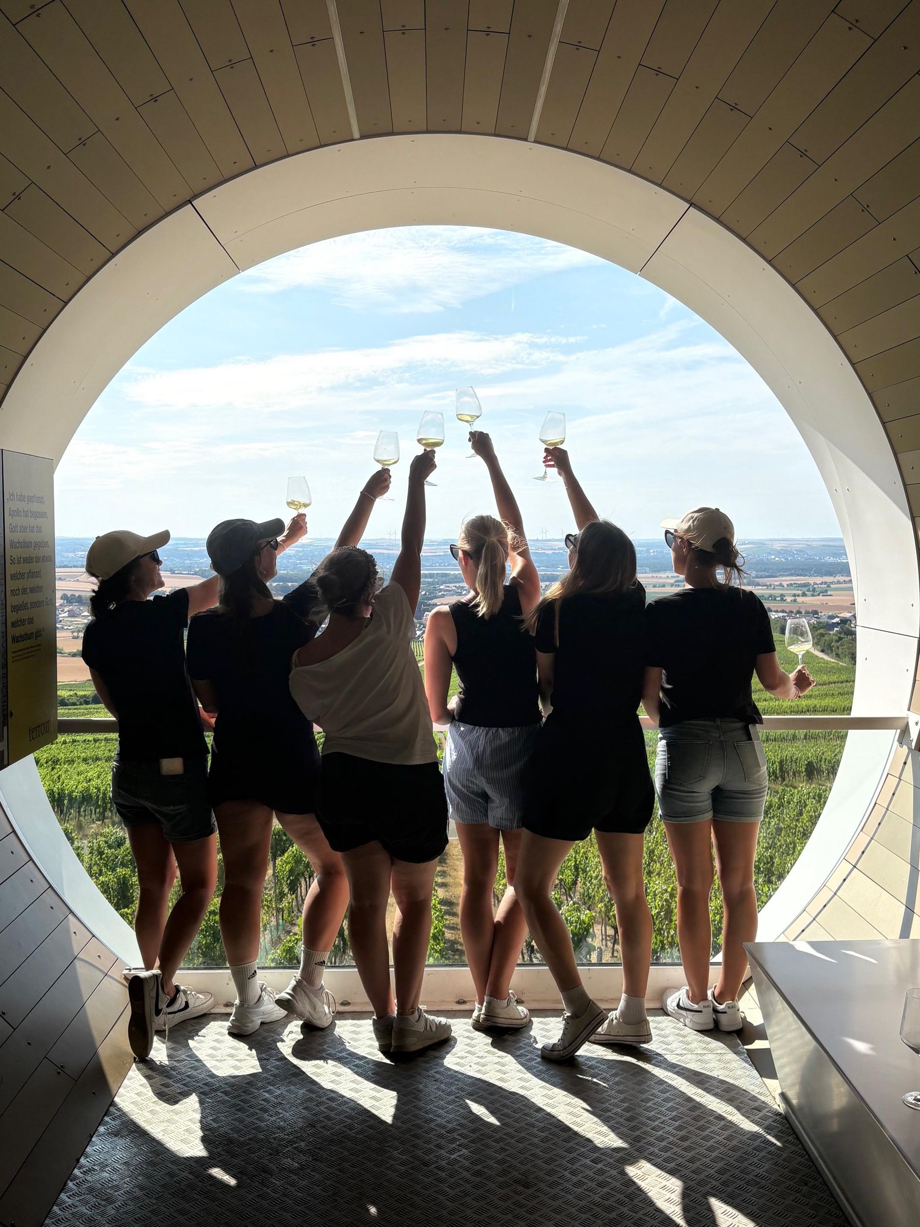 Kitzingen: Weinwanderung Freunde&Sunset