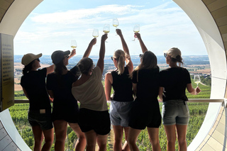 Kitzingen: Wine Hike with Friends & Sunset
