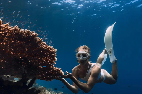 Bali : Aventure de plongée en apnée sur les plages d'Amed, de Jemeluk et de LipahExcursion de plongée en apnée avec point de rencontre dans la baie de Jemeluk