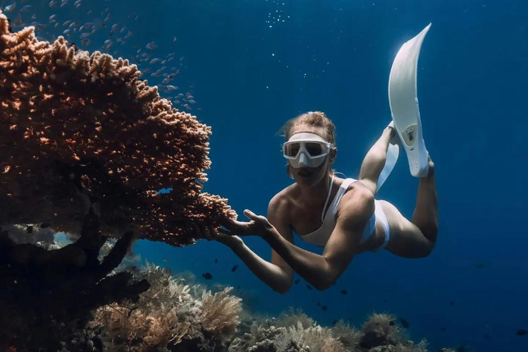 Bali : Aventure de plongée en apnée sur les plages d'Amed, de Jemeluk et de LipahExcursion de plongée en apnée avec point de rencontre dans la baie de Jemeluk