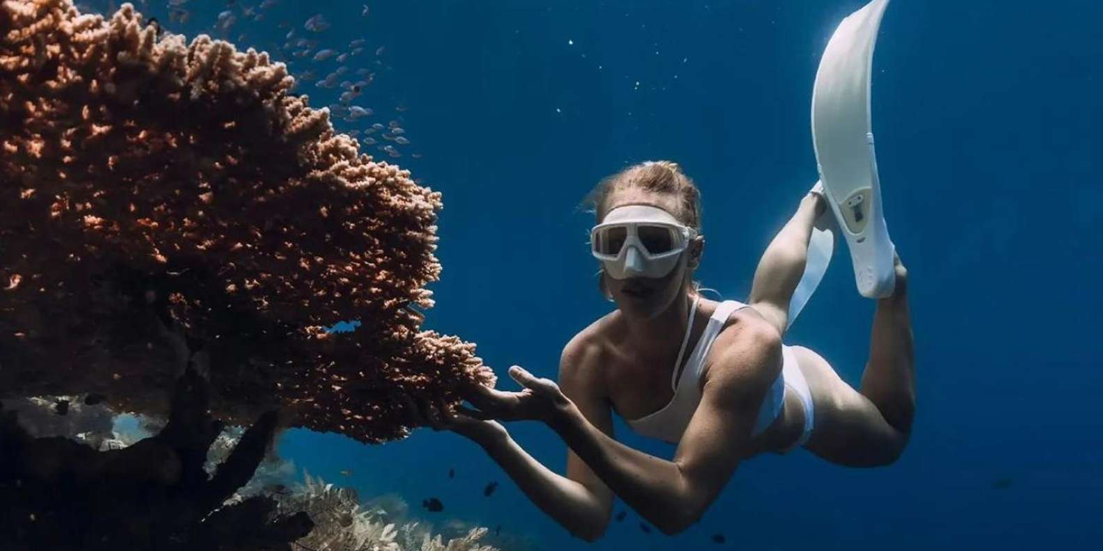 Bali snorkeling tour — underwater marine life and coral reefs — image 3
