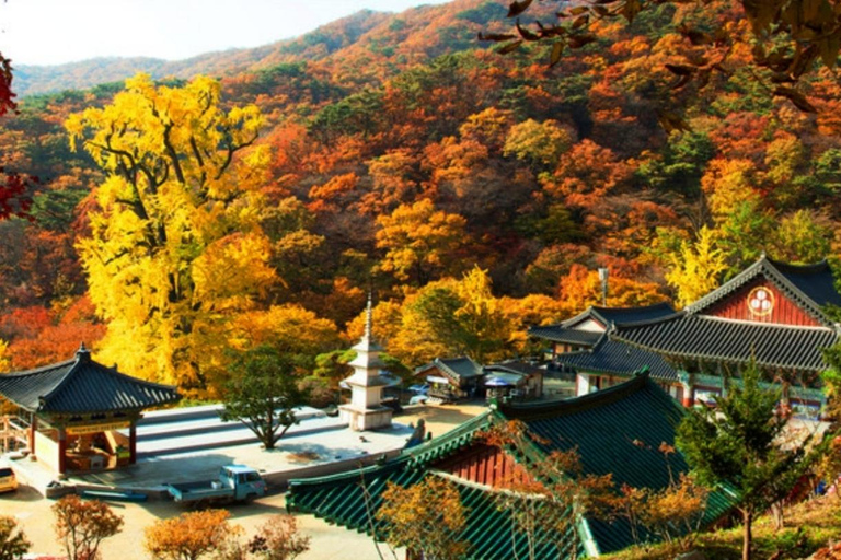 Seoul:Yangpyeong Day Trip with Dumulmeori & Yongmunsa Temple