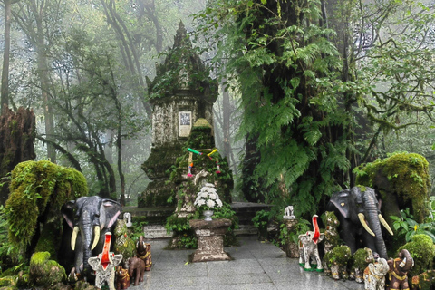 Chiang Mai: Doi Inthanon Pha Dok Siew Trek & Karen Culture