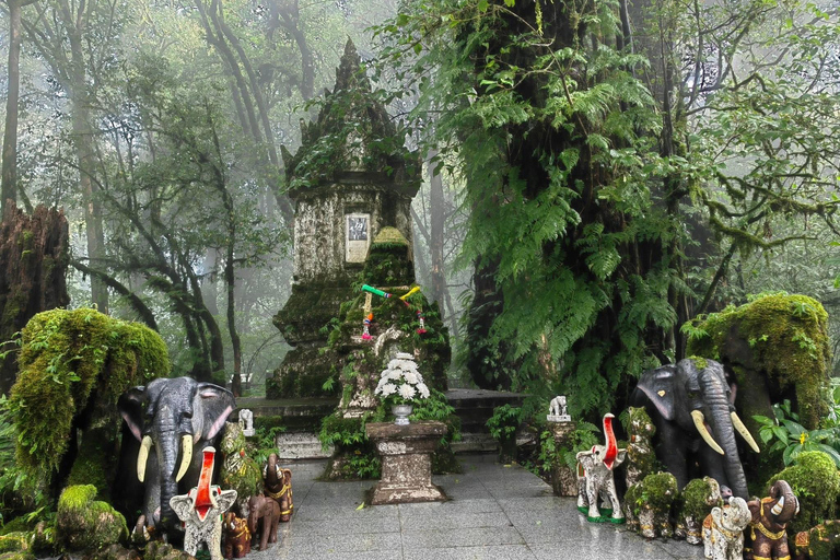 Chiang Mai: Doi Inthanon Pha Dok Siew Trek & Karen Culture