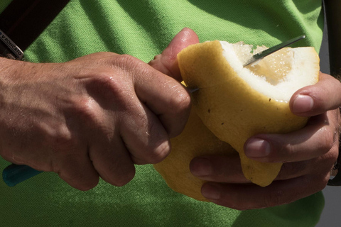 Amalfi: Vertical Lemon Farm Tour, Tastings, and Rural Museum