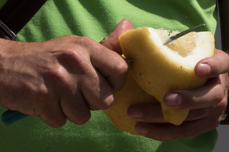 Amalfi: Vertical Lemon Farm Tour, Tastings, and Rural Museum