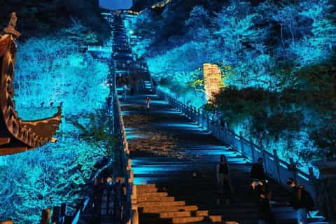 天門山ナイトツアー：スカイウォーク＆街の灯り - 2026件（実際の体験