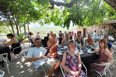 Half Day Douro Valley Tour with Cruise and Winery Lunch