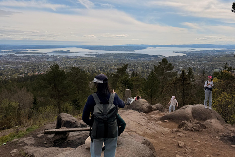Vettakollen Viewpoint&Holmenkollen Ski Jump(Cruise-Friendly)