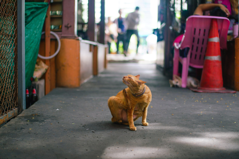 Bangkok: Bang Rak Food Tasting & Culture Walking Tour