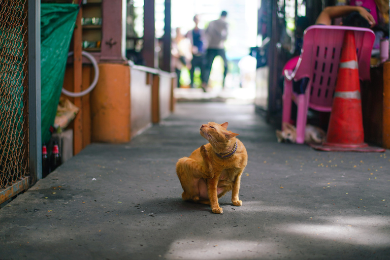 Bangkok: Bang Rak Food Tasting & Culture Walking Tour