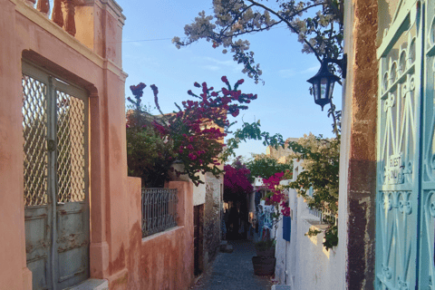 Santorini: tour panorámico de Firostefani y Oia en minibúsTour semiprivado de 3 horas