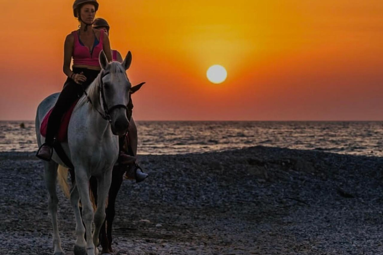 جزيرة رودس: ركوب الخيل على الشاطئ عند غروب الشمس