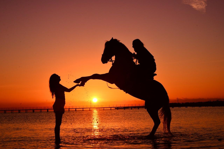 الغردقة: جولة ركوب الخيل في الصحراء والبحر مع خيار السباحةجولة لمدة ساعتين لركوب الخيل بدون السباح