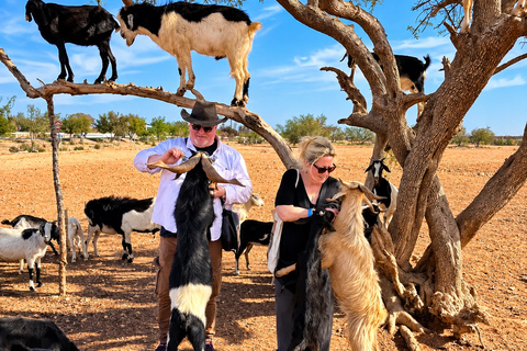 Agadir: Argan Tree-Climbing Goats & Oil Cooperative Tour