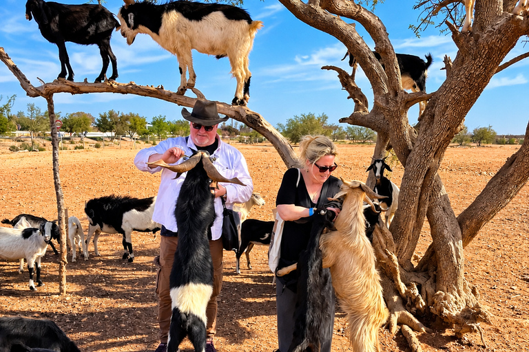 Agadir: Argan Tree-Climbing Goats & Oil Cooperative Tour