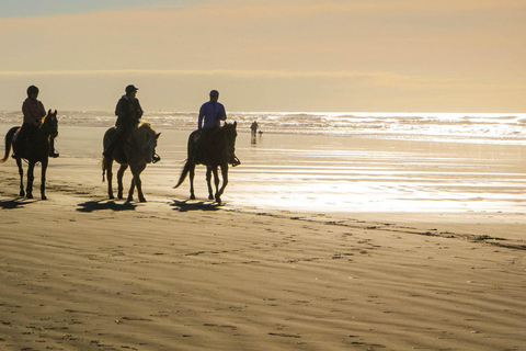 COSTA RICA:UPPTÄCK COSTARICAS VILDA DJUR-STRAND &amp; SKOG 2VECKOR