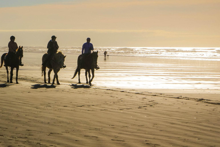 COSTA RICA:UPPTÄCK COSTARICAS VILDA DJUR-STRAND &amp; SKOG 2VECKOR