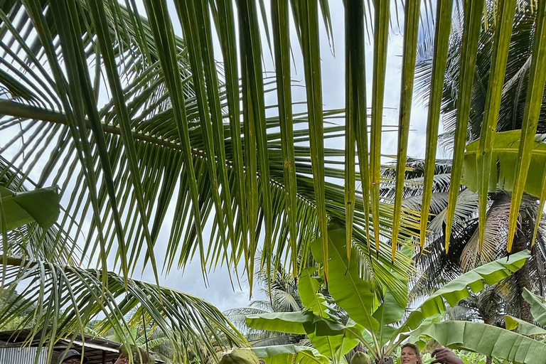 St. Lucia: ATV Tour with Beach Ride and Rum Tasting St Lucia ATV Tour: Waterfall, Plantation, Beach & Distillery