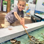 Port Stephens: Shark, Ray and Reptile Experience Ticket