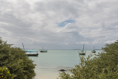 Zanzibar: Blue Lagoon Snorkeling & Sandbank Tour with BBQ Blue Lagoon Snorkeling & Sandbank Tour without Transfer