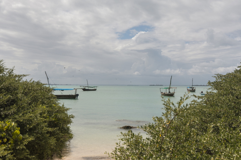 Zanzibar: Blue Lagoon Snorkeling & Sandbank Tour with BBQ Blue Lagoon Snorkeling & Sandbank Tour without Transfer